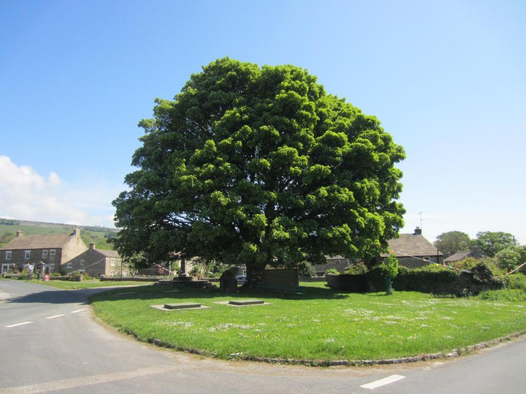 Bolton Arms Otel Redmire Dış mekan fotoğraf